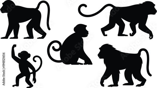 Baboon monkey silhouette set. African primate standing, walking and sitting poses. Wild savanna monkey wildlife vector illustration pack.