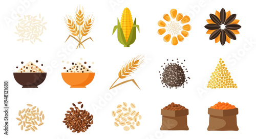 Variety of grains and seeds isolated