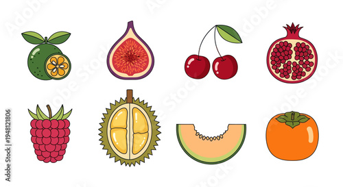 Various colorful fruit illustrations