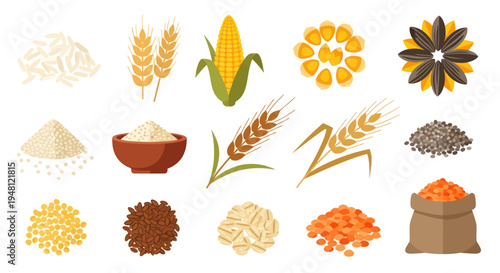 Various cereal grains and seeds illustration