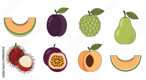 Various colorful fruit illustrations