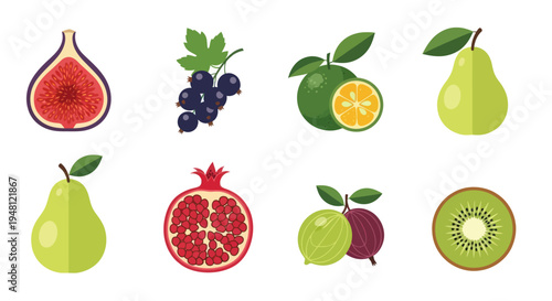 Various colorful fruit illustrations on white