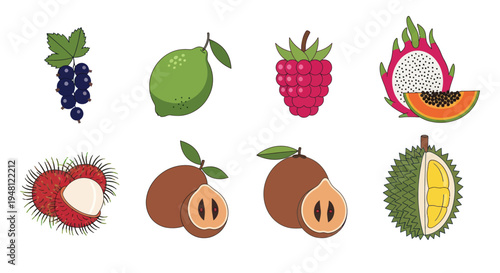 Various tropical fruit illustrations isolated