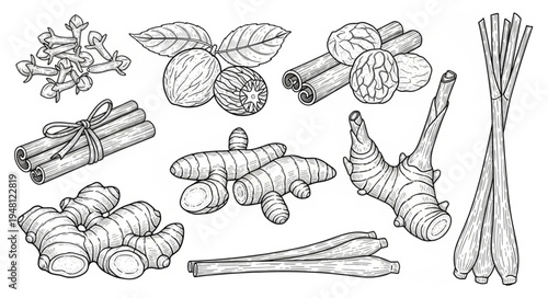 Hand-Drawn Spices - Ginger, Cinnamon, Nutmeg, and Lemongrass Illustration.