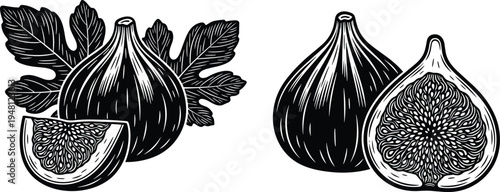 Black and white fig drawing, botanical fruit illustration, sliced fig artwork, detailed food sketch, natural fruit design, vintage fig engravin