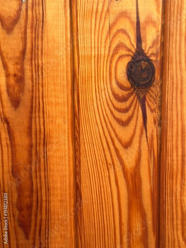 Wallpaper Mural Wood Knot Pine Grain Texture Macro Varnished Amber Natural Pattern Close Up Background
 Torontodigital.ca