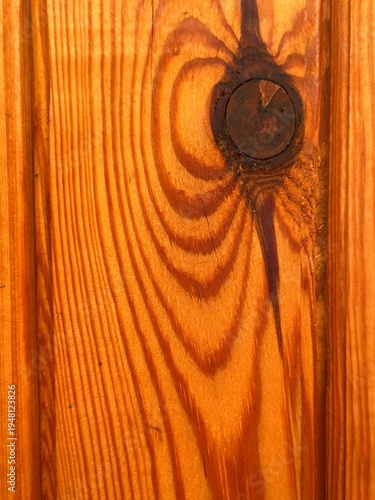 Wallpaper Mural Wood Knot Pine Grain Texture Macro Varnished Amber Natural Pattern Close Up Background
 Torontodigital.ca