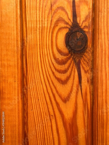 Wallpaper Mural Wood Knot Pine Grain Texture Macro Varnished Amber Natural Pattern Close Up Background
 Torontodigital.ca