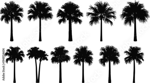 Palm tree silhouettes set, tropical coconut trees collection isolated on white background vector illustration for landscape design