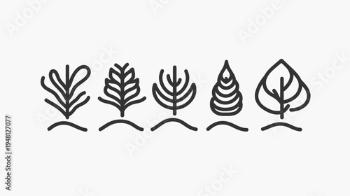 Stylized line art of five different plant-like illustrations in black on a white background