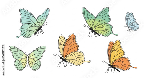 Colorful Butterfly Collection - A Vibrant Display of Natures Beauty.