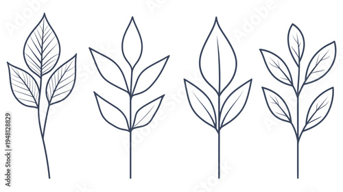Four stylized plant sprigs with various leaf shapes and details in dark blue outline