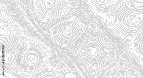 Abstract wood grain texture pattern with circular rings in light grey for natural backgrounds with tree rings with design element with texture background with cross section