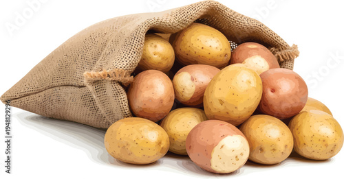 Potatoes Spilling from Burlap Sack on White Background