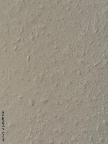 Wallpaper Mural Gray Beige Plaster Wall Texture Background Neutral Muted Painted Surface Abstract Minimalist Pattern Torontodigital.ca