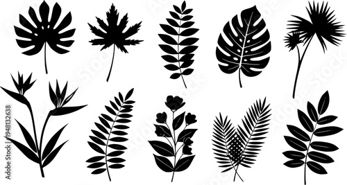 Abstract plants cutouts shapes and forms design elements set. Simple floral vector illustration collection, different types of summer or spring exotic leaves and flowers decorative stickers