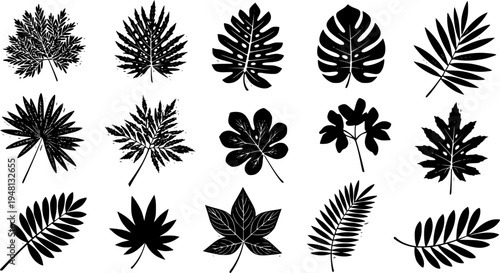 Abstract plants cutouts shapes and forms design elements set. Simple floral vector illustration collection, different types of summer or spring exotic leaves and flowers decorative stickers