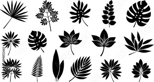 Abstract plants cutouts shapes and forms design elements set. Simple floral vector illustration collection, different types of summer or spring exotic leaves and flowers decorative stickers