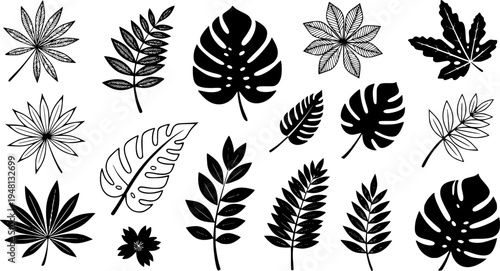 Abstract plants cutouts shapes and forms design elements set. Simple floral vector illustration collection, different types of summer or spring exotic leaves and flowers decorative stickers
