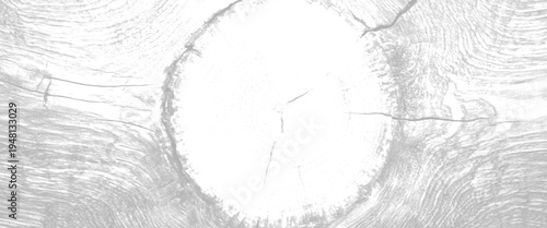 Close up of a grey and white wood grain texture with a central knot and cracks background natural