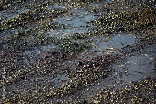 Wet dark gravel surface with puddles and bright sunlight reflections after rain