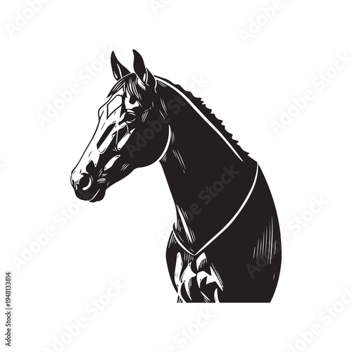 A close up of a horse's head