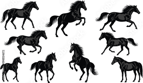 Black Horse Silhouette Set, Galloping and Rearing Stallion Poses, Equestrian Vector Icons for Ranch Logo, Wild Mustang Racing Sports Elements.