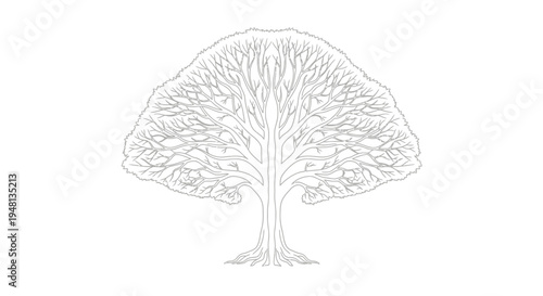 Detailed drawing of a tree.
