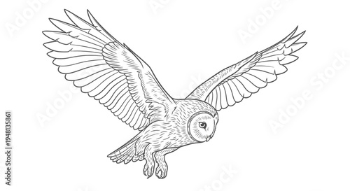 Owl flying with wings spread wide.