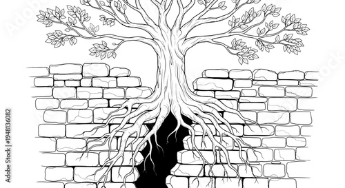 Tree Growing Through Brick Wall Roots.