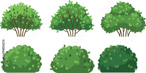 Set of six green bush vector illustrations with lush foliage and branches isolated on white background for garden landscaping nature and outdoor park design.