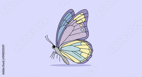 Colorful butterfly illustration on a pastel background.