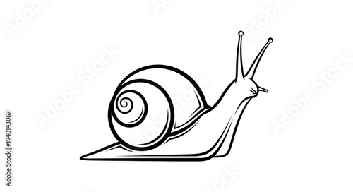 Detailed Line Art Depiction of a Snail with Spiral Shell.