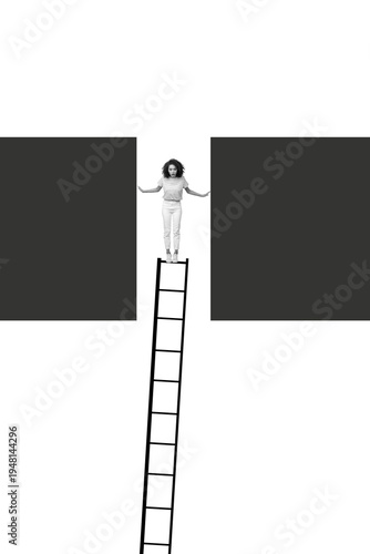 Canvas-taulu Exclusive image vertical photo collage of shocked businesswoman climb career lad