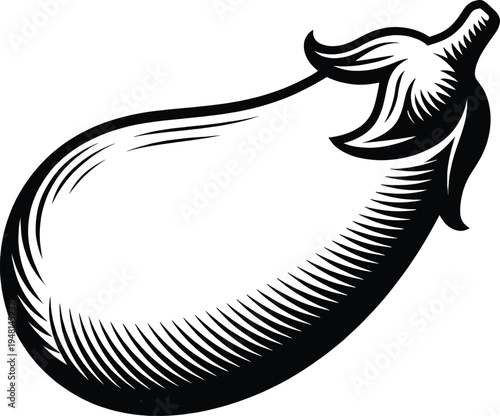 Detailed engraving style illustration of an eggplant showing textured hatching lines to define its skin surface, isolated clearly on a neutral background.