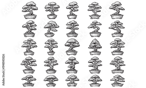Vintage Bonsai Trees Miniature Japanese Garden Engraving Illustration Set