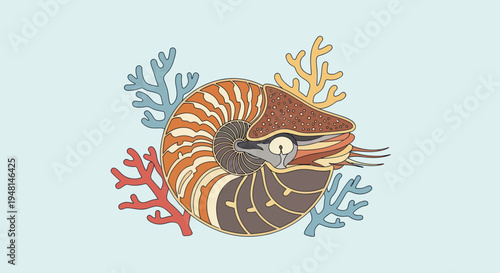 Vibrant Colorful Sea Snail Shell.