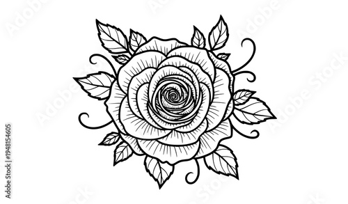 Top View Blooming Rose Floral Line Art with Leaves Elegant Botanical Vector
