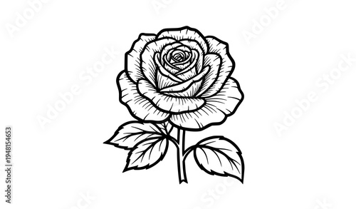 Detailed Blooming Rose with Leaves Bold Line Art Elegant Botanical Vector Illustration