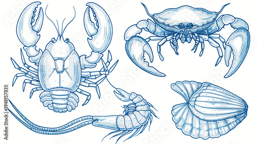 Artistic depiction of marine life, including lobster, crab, shrimp and shell
