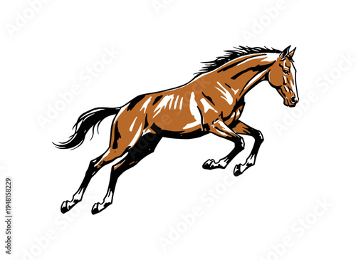 horse vector illustration
