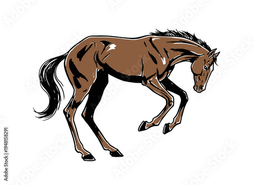 horse vector illustration