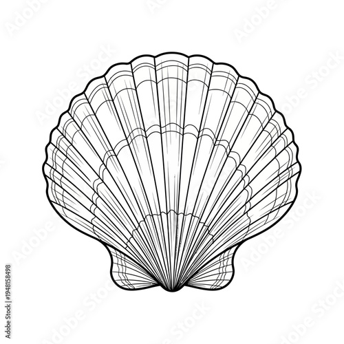 Black line art illustration of a scallop shell