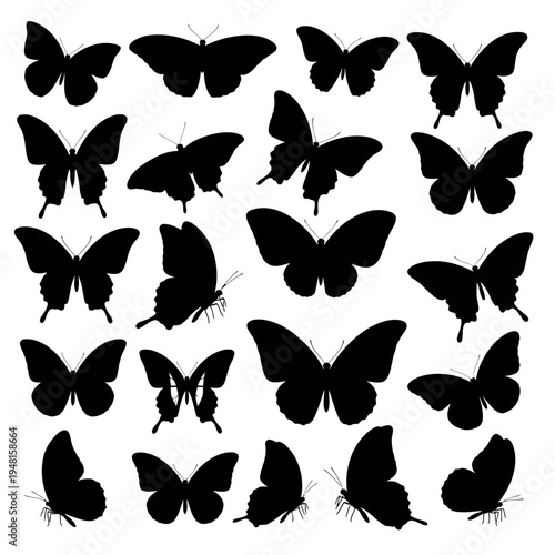 Collection of various black butterfly silhouettes
