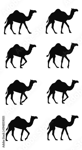 Camel Silhouette Pattern