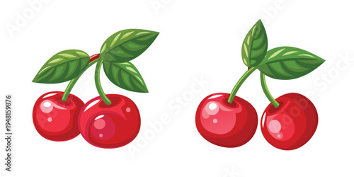 A high-quality vector illustration of red cherries on a pure white background.