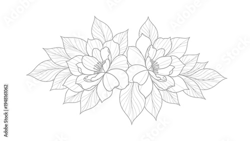 Elegant Floral Line Art: Two Blooming Flowers with Leaves, Minimalist Design