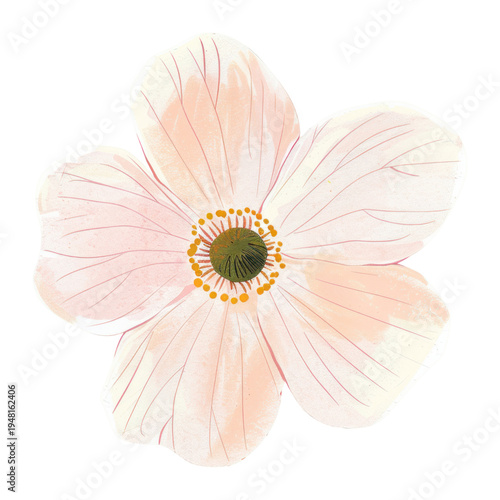 PNG Pink flower illustration design petal.