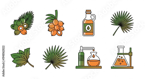 Collection of Saw Palmetto Illustrations - Berries, Oil, Leaves, and Scientific Equipment.