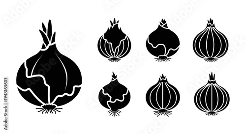 Onion Silhouettes: Collection of Black and White Vegetable Icons for Design